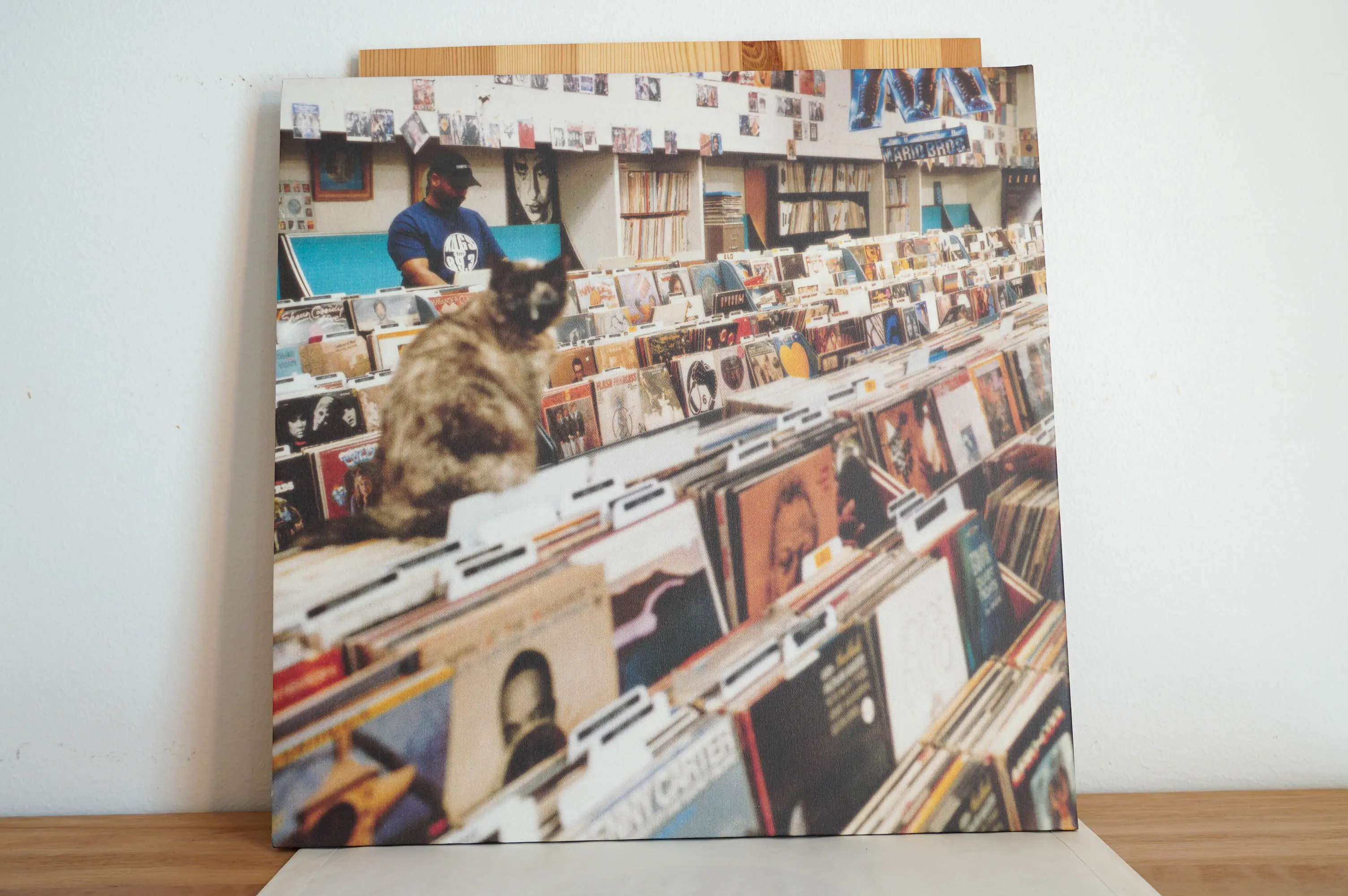 DJ Shadow - Endtroducing..... - Image 7