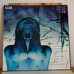 Eminem - The Slim Shady LP - Image 6