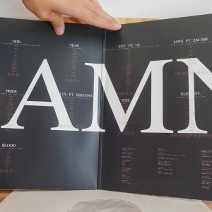Kendrick Lamar - Damn - Image 8