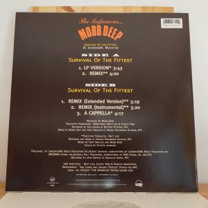 Mobb Deep - Survival Of The Fittest - Image 2
