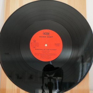 Mobb Deep - Survival Of The Fittest - Image 4