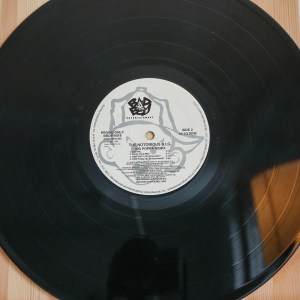 Notorious B.I.G. - Big Poppa (Remix) - Image 3