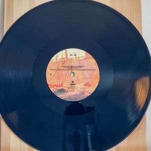 The Avalanches - Since I Left You - Image 5