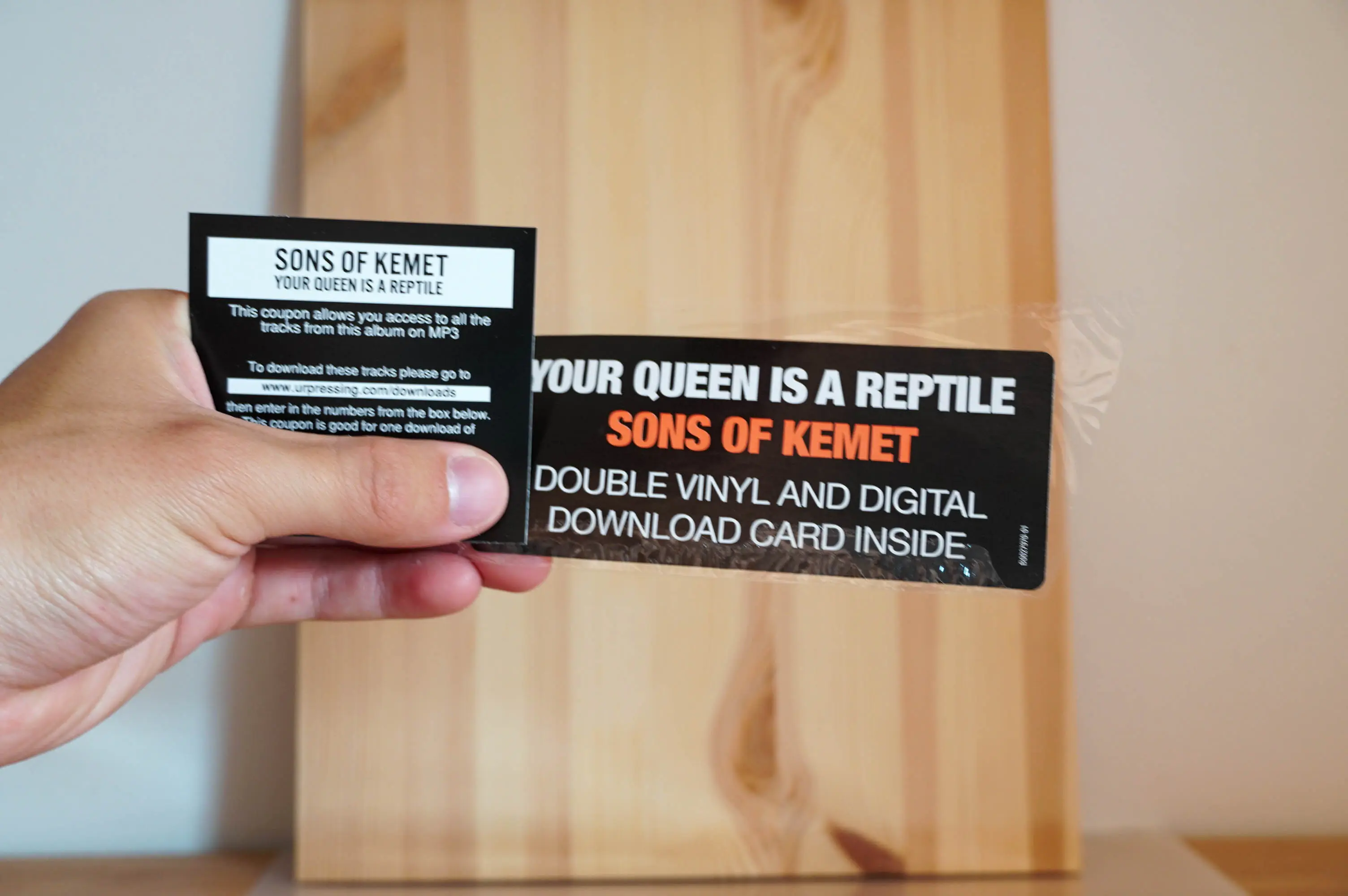 Sons Of Kemet - Your Queen Is A Reptile - Image 8