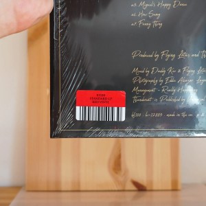 Thundercat - It Is What It Is - Image 5